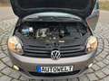 Volkswagen Golf Plus VI Life 1,2TSI DSG AHK Navi Temp PDC Braun - thumbnail 15