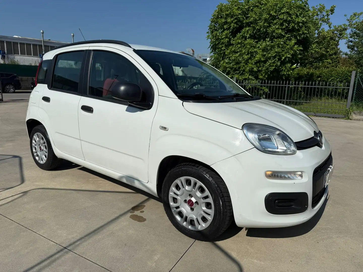 Fiat Panda 1.2 Easy 69cv clima neo-pat Blanco - 1
