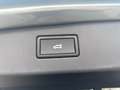 Volkswagen Tiguan Friends TDI DSG Grün - thumbnail 20