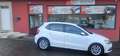 Volkswagen Polo 1.4 TDI BMT A- 55kW Weiß - thumbnail 5