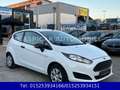 Ford Fiesta 1,25 Ambiente,KLIMA,8 FACH BEREIFT,1.HAND Weiß - thumbnail 1
