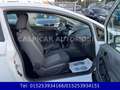 Ford Fiesta 1,25 Ambiente,KLIMA,8 FACH BEREIFT,1.HAND Weiß - thumbnail 14