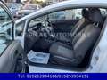 Ford Fiesta 1,25 Ambiente,KLIMA,8 FACH BEREIFT,1.HAND Weiß - thumbnail 16