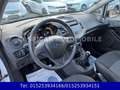 Ford Fiesta 1,25 Ambiente,KLIMA,8 FACH BEREIFT,1.HAND Weiß - thumbnail 17