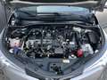 Toyota C-HR 1.8 Hybrid Executive Grigio - thumbnail 23