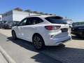 Ford Kuga ST-LINE X EcoBlue 4x4 Automatik,  GARANTIE BIS 08/ Білий - thumbnail 3