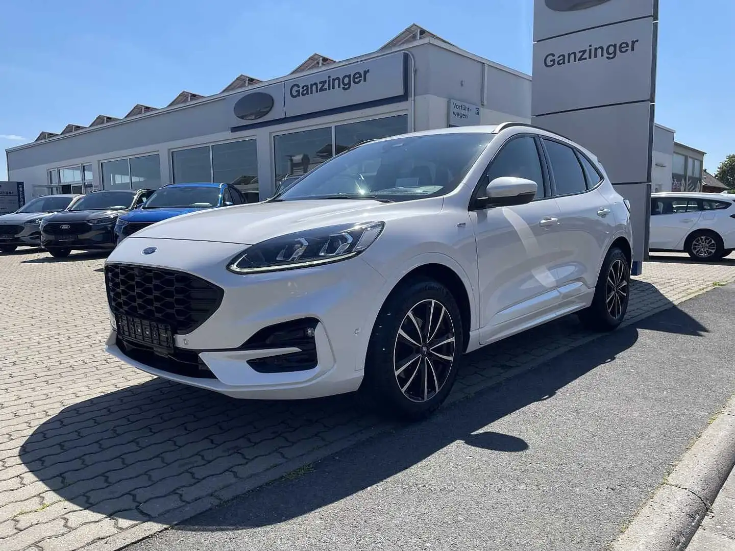Ford Kuga ST-LINE X EcoBlue 4x4 Automatik,  GARANTIE BIS 08/ Alb - 1