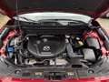 Mazda CX-5 Advantage 2WD Bluetooth Head Up Display Navi Rot - thumbnail 25