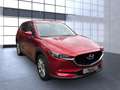 Mazda CX-5 Advantage 2WD Bluetooth Head Up Display Navi Rot - thumbnail 5