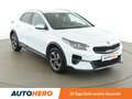 Kia XCeed 1.4 TGDI Silber Blanc - thumbnail 8