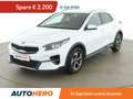 Kia XCeed 1.4 TGDI Silber Blanc - thumbnail 1