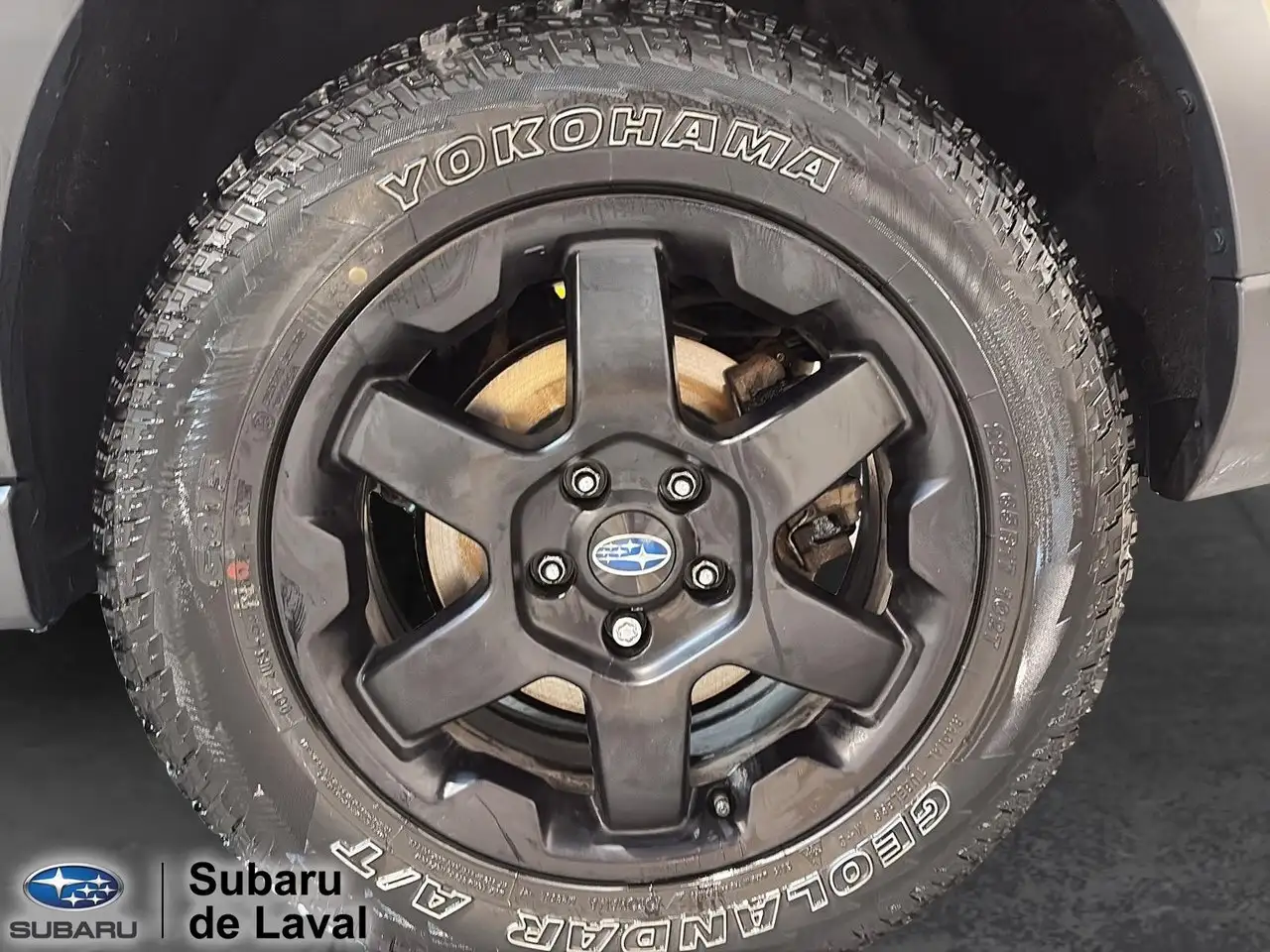 Subaru OUTBACK fotografie Subaru OUTBACK