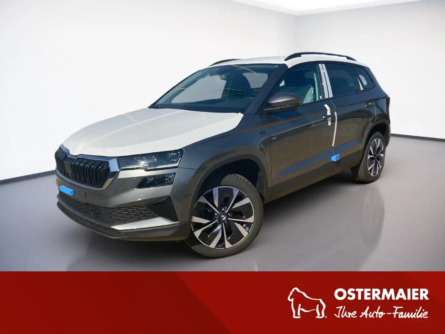 Skoda Karoq TOUR 1.5 TSI 110 KW 7-GANG DSG.MATRIX.AHK.KAMERA.P Gris - 1
