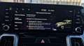 Kia Sorento Sorento 2.2 CRDI SCR AWD Platin DCT8 Weiß - thumbnail 34