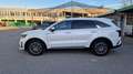 Kia Sorento Sorento 2.2 CRDI SCR AWD Platin DCT8 Weiß - thumbnail 2