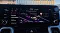 Kia Sorento Sorento 2.2 CRDI SCR AWD Platin DCT8 Weiß - thumbnail 32