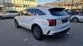 Kia Sorento Sorento 2.2 CRDI SCR AWD Platin DCT8 Weiß - thumbnail 3