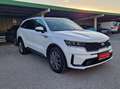 Kia Sorento Sorento 2.2 CRDI SCR AWD Platin DCT8 Weiß - thumbnail 7
