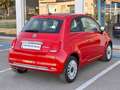 Fiat 500 Hybrid Rojo - thumbnail 12