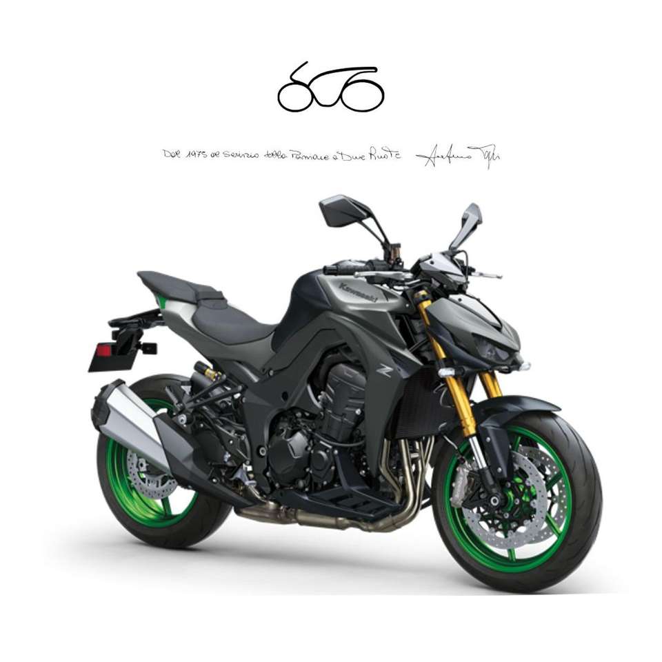 Kawasaki Z 1100 SE