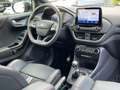Ford Puma ST X Performance Panodach GreyMatter TOP! Grau - thumbnail 9