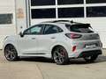Ford Puma ST X Performance Panodach GreyMatter TOP! Grau - thumbnail 3