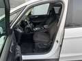 Ford Galaxy 2.0 TDCI Business  Aut. 7Sitzer Weiß - thumbnail 9