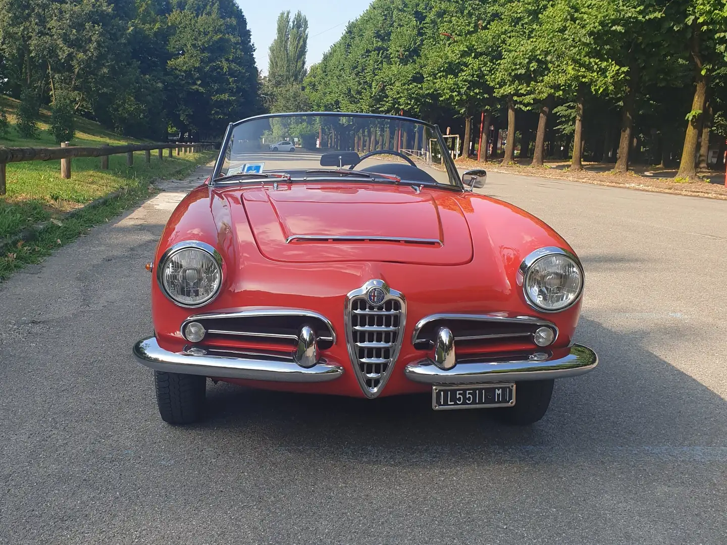 Alfa Romeo Giulia spider Rosso - 2