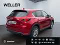 Mazda CX-5 SKYACTIV-G 194 Signature+ *Matrix*360°*BOSE* Rot - thumbnail 19