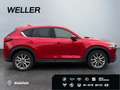 Mazda CX-5 SKYACTIV-G 194 Signature+ *Matrix*360°*BOSE* Rot - thumbnail 10