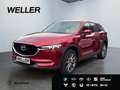 Mazda CX-5 SKYACTIV-G 194 Signature+ *Matrix*360°*BOSE* Rot - thumbnail 1