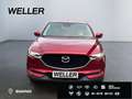 Mazda CX-5 SKYACTIV-G 194 Signature+ *Matrix*360°*BOSE* Rot - thumbnail 2