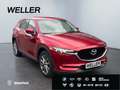 Mazda CX-5 SKYACTIV-G 194 Signature+ *Matrix*360°*BOSE* Rot - thumbnail 4