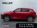 Mazda CX-5 SKYACTIV-G 194 Signature+ *Matrix*360°*BOSE* Rot - thumbnail 5