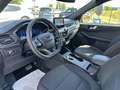 Ford Kuga 2.5 Duratec 190ch FHEV E85 ST-Line BVA Noir - thumbnail 13