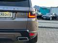 Land Rover Range Rover Sport S 3,0 SDV6 Aut. Finanzierung möglich Braun - thumbnail 18