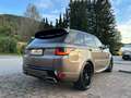 Land Rover Range Rover Sport S 3,0 SDV6 Aut. Finanzierung möglich Braun - thumbnail 5
