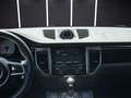 Porsche Macan S Bi Xenon- Volleder- Memory Sitze Grau - thumbnail 14
