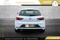 SEAT Leon FR Black-Edition Plus 1,5 TSI // SONDERMODELL // Grau - thumbnail 12