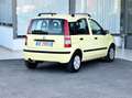 Fiat Panda 1.2 Benzina 60CV Neo. - 2007 Jaune - thumbnail 5