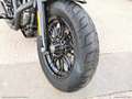 Harley-Davidson Sportster 1200 Sportster 1200 XS FORTY-EIGHT RATE AUTO MOTO SCOOT Gris - thumbnail 21