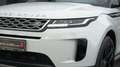 Land Rover Range Rover Evoque EVOQUE D240 AWD*21"DYNAMIC*AHK*PANORAMA* Weiß - thumbnail 17