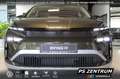 Skoda Enyaq 60 PLUS AHK MATRIX WINTER 20" Bluetooth Navi Verde - thumbnail 2