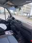 Renault Master Blanco - thumbnail 4
