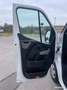 Renault Master Blanco - thumbnail 5