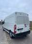 Renault Master Blanco - thumbnail 2