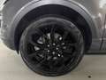Land Rover Range Rover Evoque Evoque 2.0 TD4 SE |Aut.|Xenon|Facelift|Pano| Grau - thumbnail 21