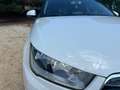 Audi A1 Sportback 1.0 TFSI 95CV Attraction Weiß - thumbnail 7