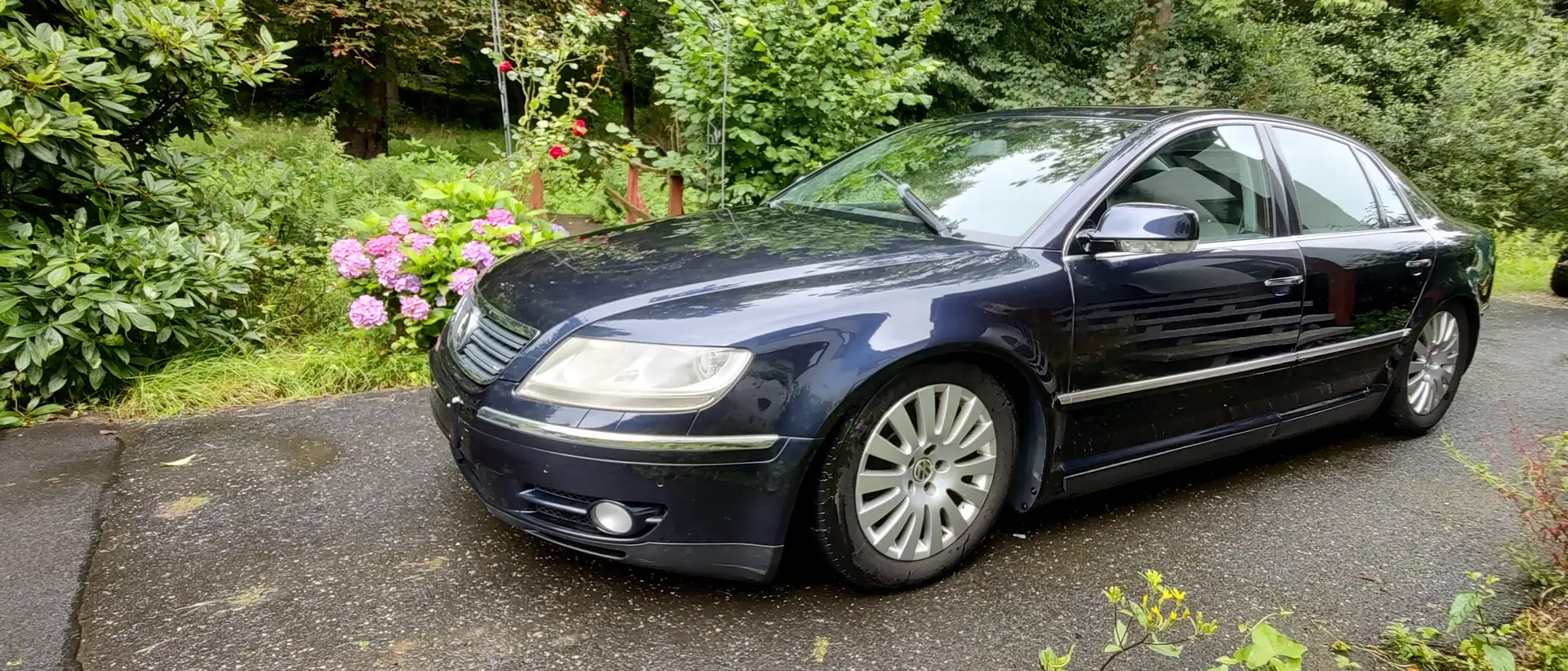 Volkswagen Phaeton V6 TDI 4Motion Bleu - 2