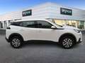Peugeot 2008 BlueHDI 81kW (110CV) Active Blanco - thumbnail 4